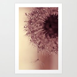 Dandelion Gold photography print Art Print | Abstract, Floralprint, Flowerphotography, Color, Elegantfloral, Golddandelion, Terracota, Wallart, Curated, Pinkfloral 