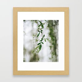 Hanging Vine - Descanso Gardens Framed Art Print