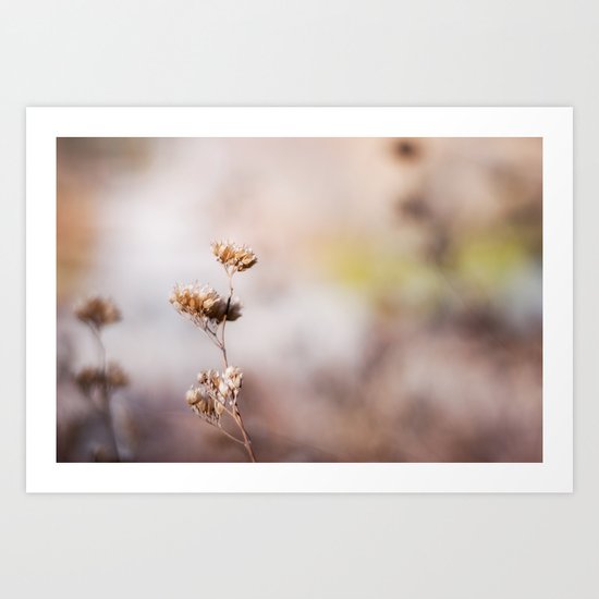 In Dreams Art Print