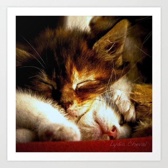 The good life Art Print