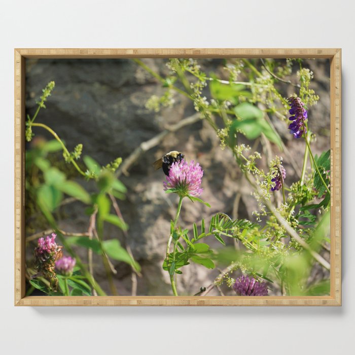 Bumble Bee on Red Clover Photograph Serving Tray