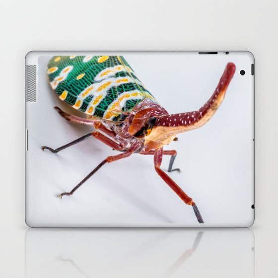 Long Nosed Cicada. Laptop & iPad Skin