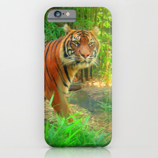 Tiger Tiger iPhone & iPod Case