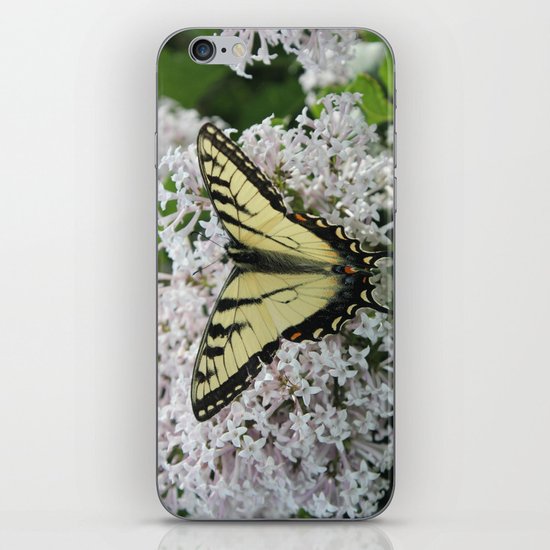 Butterfly Delight iPhone & iPod Skin
