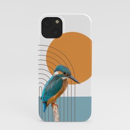 Colorful bird iPhone Case