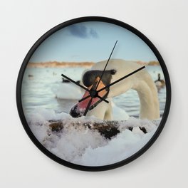 Close-Up Swan On A Snowy Day Wall Clock | Snowy, Chasewater, Closeupcloseup, Muteswan, Swans, Pov, Swan, Winter, Weather, Photo 