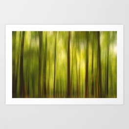 Warmth of the Forests Colors Art Print