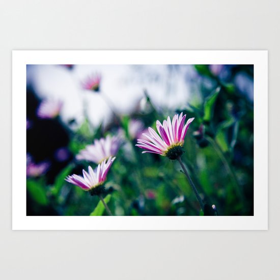 Flowers in Paris 1 Art Print