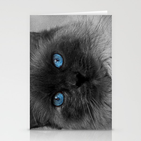 CATTURE Stationery Cards