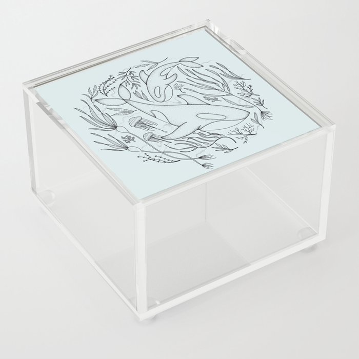 Orcas + Seaweed Acrylic Box