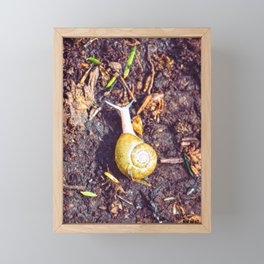 The Little Snail | Wildlife in the PNW Framed Mini Art Print