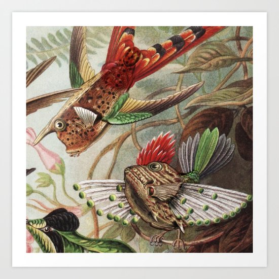 Flying Fish Art Print