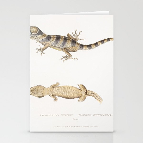 Beautiful Cyrtodactylus (Cyrtodactylus pulchellus) Stationery Cards