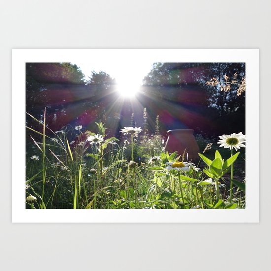 Evening light Art Print