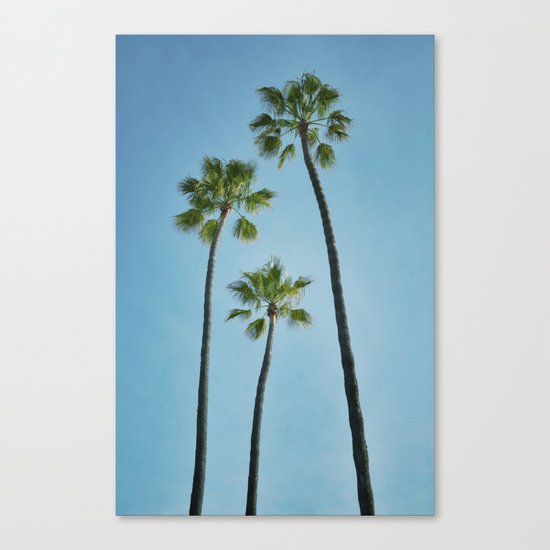 Three Palms Canvas Print