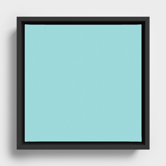 Framed Canvas