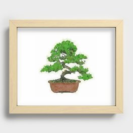 Japanese Bonsai Tree Recessed Framed Print