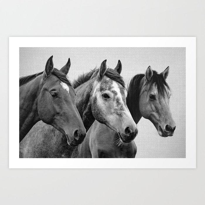 Horses - Black & White 3 Art Print