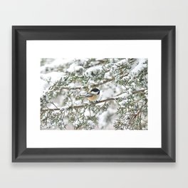 Christmas Snowstorm Chickadee Framed Art Print