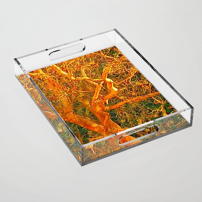 Golden Twisted Tree Acrylic Tray