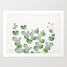 Eucalyptus Watercolor 3 Art Print