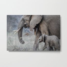 Mommy  Elephant Metal Print | Elephantdesign, Wildelephant, Africa, Elephantlovers, Cool, Elephant, Elephantphotography, Elephantlover, Photo, Elephantart 
