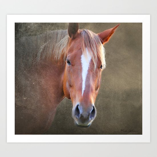 horse Art Print