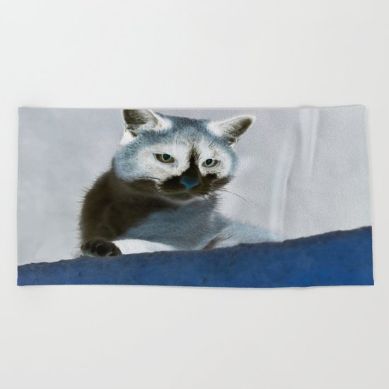 Blue Snow Shoe Cat on the Prowl Beach Towel