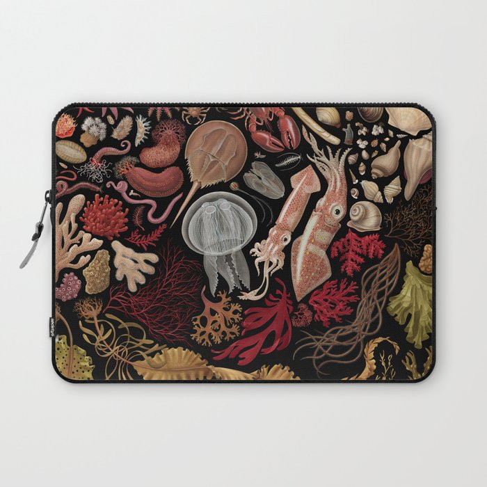 Intertidal Life of the North Atlantic (without species list) Laptop Sleeve