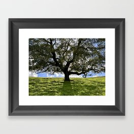 Tree of Life Framed Art Print