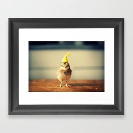 Chick Wearing A Pointy Yellow Hat Framed Art Print