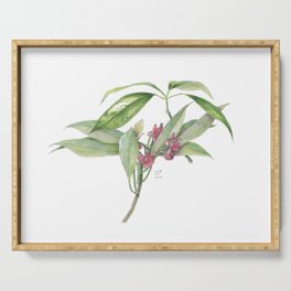Star Anise Botanical Illustration Serving Tray