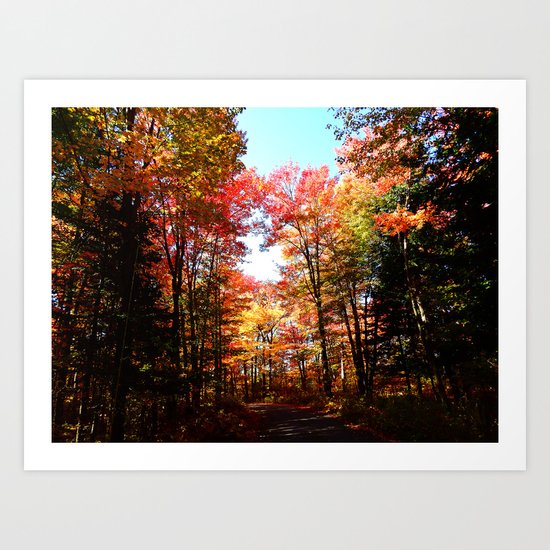 Eastern Quebec in Autumn Art Print