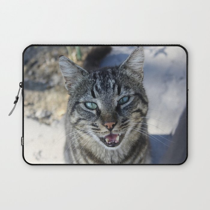 Chatty Cat Chirruping Pet Photography Laptop Sleeve