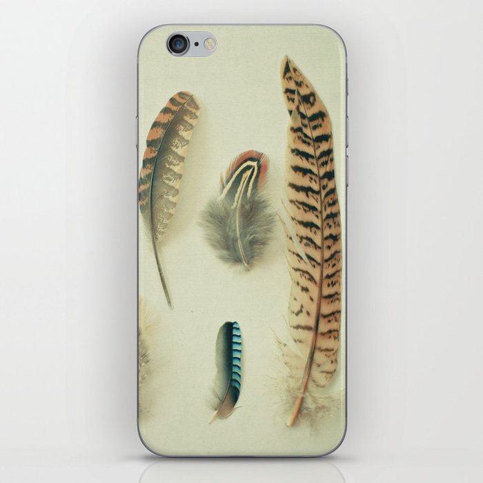 The Feather Collection iPhone Skin