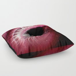 Scarlet Eye Floor Pillow