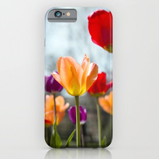 Tulip Dance iPhone & iPod Case
