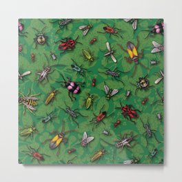 Bugs & Insects on Green Floral Background Metal Print