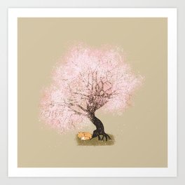 Fox Sleeping Under Cherry Blossoms Art Print