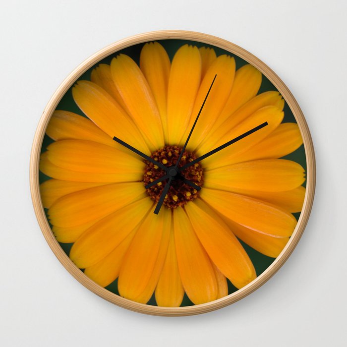 Marigold flower 4 Wall Clock