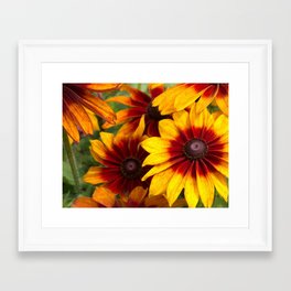 Fiery Flowers Framed Art Print | Photo, Nature 
