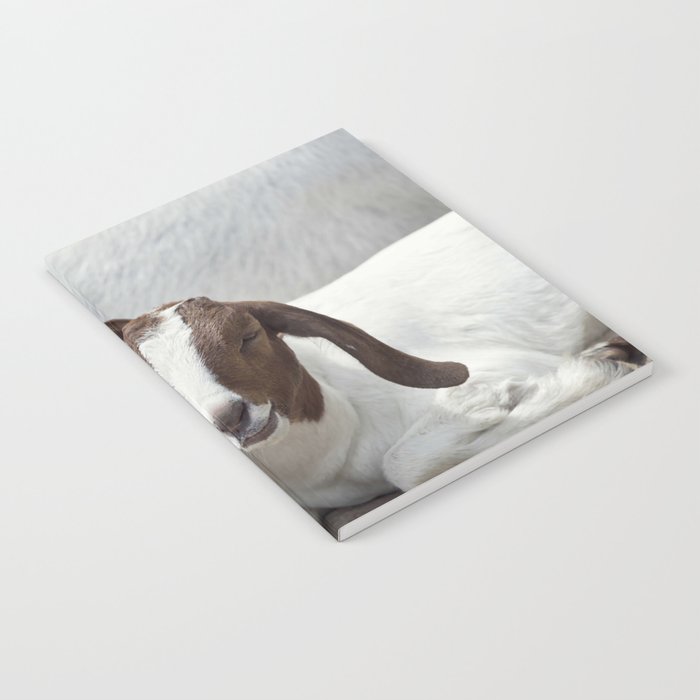 Two Young Boer Goats Resting  Notebook