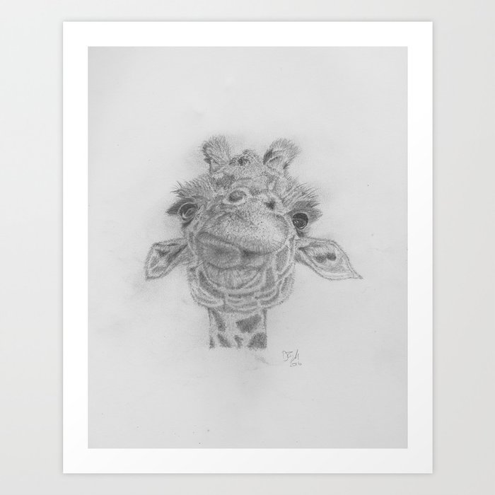 Pencil Drawing Of A Giraffe Eating Art Print By Crumbledoodle