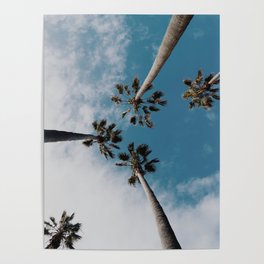 Palm Tree Summer Fun Poster