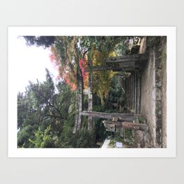 Fushigi Art Print | Japan, Color, Digital, Photo, Torii, Shinto, Film 