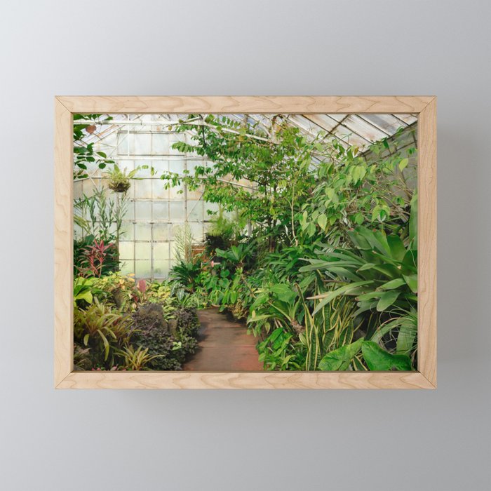 Greenhouse Gardening Framed Mini Art Print