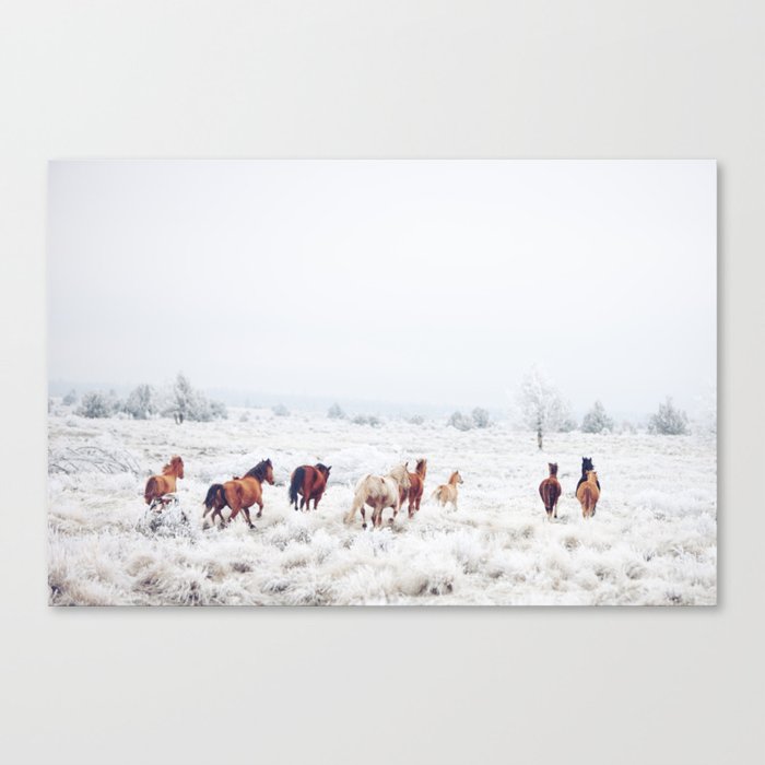Winter Horses Canvas Print