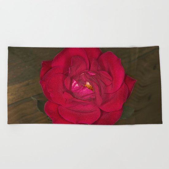 Red Rose in bloom Beach Towel