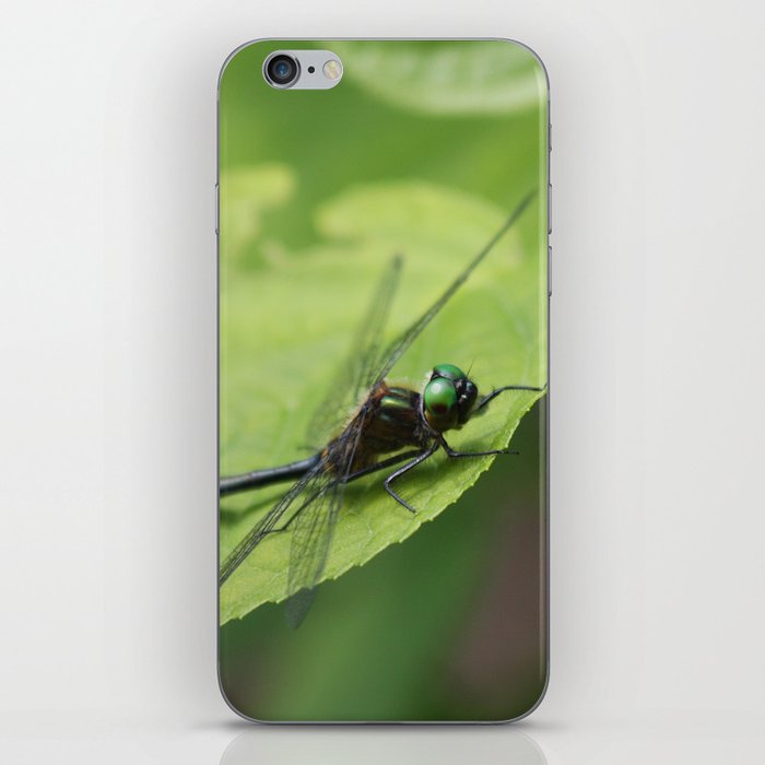 Resting Dragonfly iPhone Skin