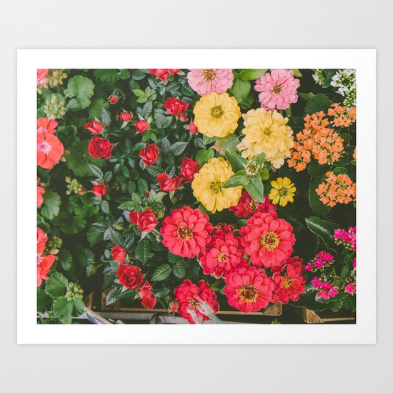 Flowers Art Print